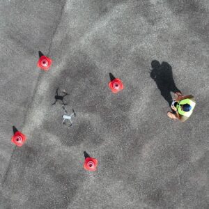 Formation Drone Exercice Pratique Telepilote – Devenir Télépilote Pro : Pourquoi La